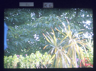 Blendenanzeige im Sucher der Nikon F3
